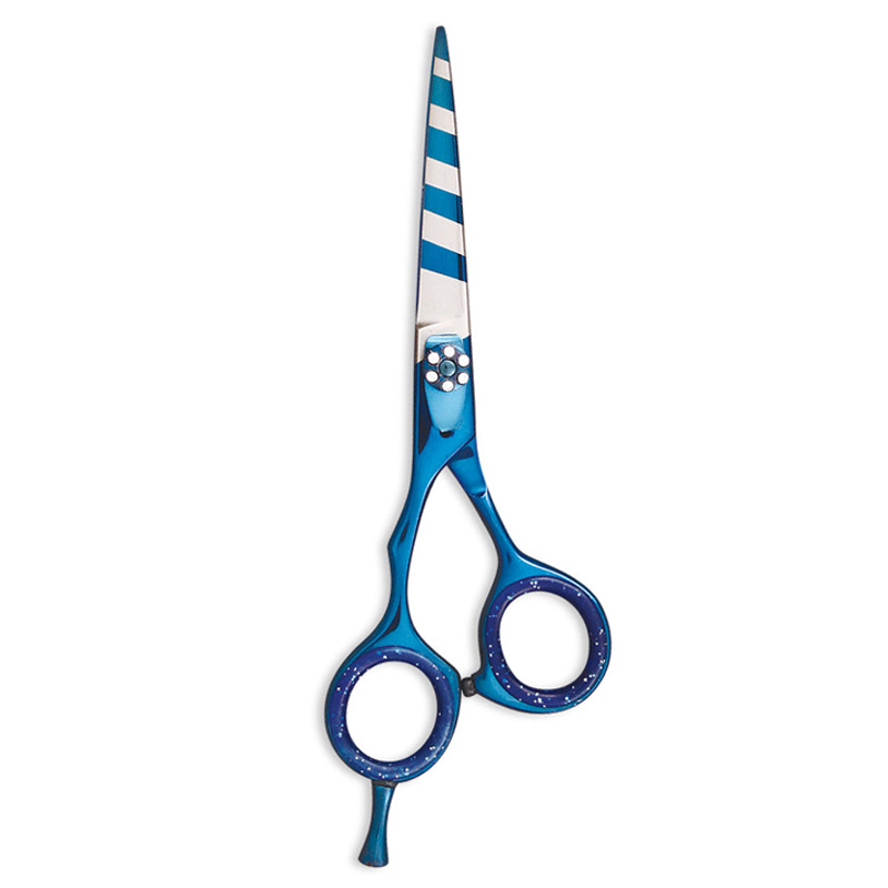 Salon Scissors